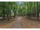 Scenic wooded path meandering through a lush forest landscape at 620 Neel Reid Dr, Roswell, GA 30075