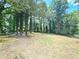 Spacious backyard with a mix of grass and pine straw, surrounded by mature trees and privacy fencing at 6965 Kimberland Gardens Ln, Lithonia, GA 30058
