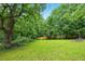 Expansive backyard featuring lush green grass, mature trees, and privacy fence, perfect for outdoor activities and relaxation at 6126 Knights Ln, Douglasville, GA 30135