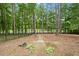 Scenic backyard view with lush trees, an iron fence and a brick path to explore this serene property at 6440 Westchester Pl, Cumming, GA 30040