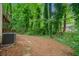 Lush backyard featuring wooded scenery, and mulch groundcover at 766 Lost Creek Cir, Stone Mountain, GA 30088