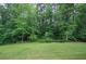 Picture perfect backyard surrounded by a beautiful, thick treeline at 6095 Fords Nw Rd, Acworth, GA 30101