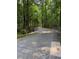 Long driveway leading to a property surrounded by mature trees and natural landscape at 3365 Ne Ivy Lake Drive Northeast Dr, Buford, GA 30519