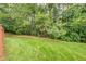 A lush backyard abuts a tree line, offering both space and privacy for relaxing and entertaining at 5589 Trace Views Dr, Norcross, GA 30071