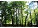 The beautiful wooded backyard of the property at 4059 Canby Ln, Decatur, GA 30035