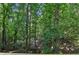 Peaceful view of a lush forest area at 545 Woodman Pl, Roswell, GA 30076