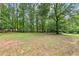 Large backyard with mature trees and green lawn, ideal for recreation and outdoor enjoyment at 217 Cedar Trl, Jonesboro, GA 30238