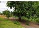 View of a spacious backyard with mature trees and lush landscaping at 1196 Wylie Se St, Atlanta, GA 30316