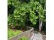 Tranquil wooded area with a wooden staircase, offering a serene natural escape within the community at 333 Lauren Ln, Woodstock, GA 30188