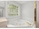 Soaking tub with jets and large window provides a spa-like experience at 194 Lake Ruby Dr, Suwanee, GA 30024