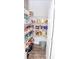 Organized walk-in pantry features white shelving, abundant storage for food and supplies and a silver bucket at 2159 Holland Creek Ln, Buford, GA 30519