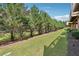 Well-maintained backyard with lush green grass and mature trees providing privacy at 6043 China Rose Lane, Johns Creek, GA 30097