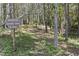 View of the Reservoir Nature Trail on a sunny day at 1063 Winding Branch Dr, Canton, GA 30114