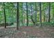 Spacious backyard surrounded by trees, offering privacy at 2063 Willow Chase Ct, Tucker, GA 30084