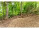 Secluded wooded backyard with plenty of trees for privacy and natural beauty, offering a peaceful retreat at 3745 Meeting St, Duluth, GA 30096