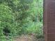 Overgrown backyard with foliage at 2588 Sandtown Sw Rd, Marietta, GA 30060