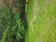 Expansive backyard featuring lush green grass and mature trees at 2670 Foxlair Trl, South Fulton, GA 30349
