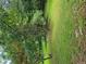 Wide shot of the backyard featuring lush grass and mature trees at 2670 Foxlair Trl, South Fulton, GA 30349