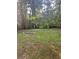 Spacious backyard, featuring lush lawn and mature trees, offering privacy and outdoor space at 539 Rue Montaigne, Stone Mountain, GA 30083