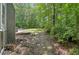 View of the backyard showing mature trees at 56 Carlane Cir, Bowdon, GA 30108