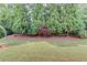 Lush green backyard with lawn and a privacy border of tall mature trees at 3468 Aberrone Pl, Buford, GA 30519
