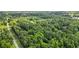 Aerial view of a wooded lot, showcasing nature and location near the road, with lush green trees at 820 Airline Rd, Mcdonough, GA 30252