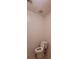 Picture of the home's toilet at 2703 Hillvale Cove Dr, Lithonia, GA 30058