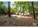 Expansive backyard view with lush trees surrounding the property, enhancing its appeal at 1558 Amberwood Creek Nw Dr, Kennesaw, GA 30152