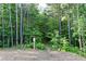 Natural wooded trail entrance surrounded by lush greenery, inviting exploration and nature walks at 330 Carriage Glen Ln, Woodstock, GA 30188
