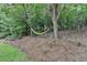 Secluded backyard featuring mature trees and a hammock for relaxation at 12130 Helleri Holw, Alpharetta, GA 30005
