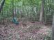 Backyard fire pit area with a chair and a wooded backdrop at 17 Kola Ln, Rydal, GA 30171