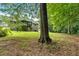 Spacious backyard featuring a large tree, green grass, and a wooden deck, ideal for outdoor living at 225 Hitchcock Dr, Villa Rica, GA 30180