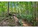 A tranquil creek flows through a lush, wooded area, enhancing the property's natural beauty at 225 Hitchcock Dr, Villa Rica, GA 30180