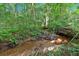 The creek is enhanced by lush vegetation and fallen logs, offering a peaceful natural view at 225 Hitchcock Dr, Villa Rica, GA 30180