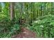 A lush wooded area offers privacy and a natural setting at 225 Hitchcock Dr, Villa Rica, GA 30180