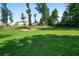 Lush green backyard, ideal for recreation and outdoor enjoyment at 31 Thunderhawk Ne Ln, Rydal, GA 30171
