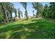Large, green backyard with trees bordering the property line, offering privacy and space at 31 Thunderhawk Ne Ln, Rydal, GA 30171