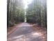 Picturesque view of the Silver Comet Trail surrounded by lush, mature trees and foliage at 5037 Laurel Springs Se Way, Smyrna, GA 30082