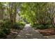 Lush pathway lined with trees leads to this home, creating a serene and inviting entrance at 1001 Dancing Fox Rd, Decatur, GA 30032