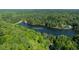 Stunning aerial shot of the lakefront property at 815 Marshview Close surrounded by dense foliage at 815 Marshview Close, Roswell, GA 30076