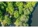 An aerial view of a home surrounded by lush greenery and mature trees at 815 Marshview Close, Roswell, GA 30076