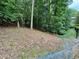 Private, wooded backyard with mature trees providing natural shade and privacy at 703 Overlook Point, Woodstock, GA 30189