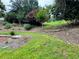 Lush, grassy backyard featuring mature trees and professional landscaping at 703 Overlook Point, Woodstock, GA 30189