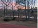Backyard view showcasing a tranquil pond framed by trees, creating a serene natural setting at 150 Northshore Xing, Dallas, GA 30157