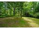 A view of the lush backyard features mature shade trees, green grass, and ample space at 6516 Maddox Rd, Morrow, GA 30260