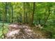 Peaceful backyard featuring a picnic table and chairs at 2016 Castleway Ne Dr, Atlanta, GA 30345