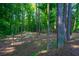 Scenic backyard view featuring mature trees and sparse undergrowth with glimpses of sunlight filtering through the canopy at 1382 Varner Rd, Marietta, GA 30062