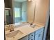 Bathroom featuring a double sink vanity, large mirror and a separate shower and tub at 112 Scarlett Place Dr, Bowdon, GA 30108