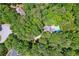 Aerial view showcasing the house nestled among trees, with a pool and well-maintained grounds at 4341 Horder Ct, Snellville, GA 30039