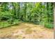 Large backyard features a grassy area surrounded by mature trees and a chain link fence at 4669 Birch Ridge Trl, Stone Mountain, GA 30083